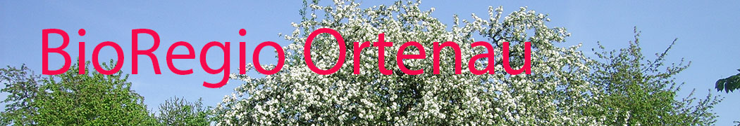 BioRegio Mittelbaden